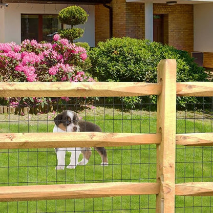 Black PVC Coated Welded Wire Fence 48 Inch x 50 Foot, 2 Inch x 3 Inch 16GA, Garden Border Fencing Roll Vinyl Coating Metal Wire Mesh for Yard Vegetable Plant Protection Poultry Netting