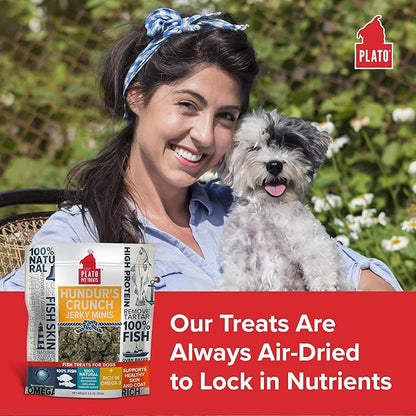 PLATO Hundur's Crunch Jerky Minis 10oz, Natural (859554001397)