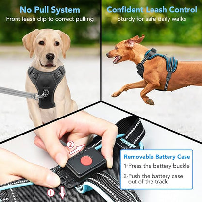 Light Up Dog Harness, No Pull LED Dog Harness with Handle, Rechargeable Lighted Safety Vest for Small Medium Large Dogs, Adjustable Soft Dog Lights for Night Walking