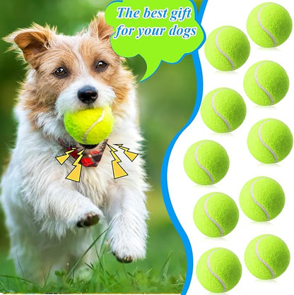 Skylety 100 Pcs 2.5 inch Squeaky Tennis Balls Bulk for Dogs Bouncy Floatable Tennis Balls Dog Playing Supplies Training Interactive Fetch Toys for Small Medium Puppy Exercise and Practice (Green)
