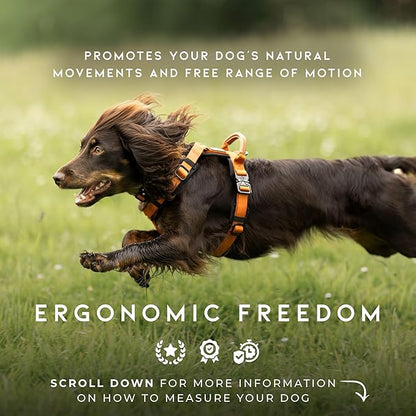 MADE TO ROAM Premium Explorer Harness - Y-Shaped Dog Harness with Adjustable Durable Nylon, Soft Padding, Metal Buckles and Leather Handle for Small, Medium, Large Dogs (Oregon Haze, Size 3)