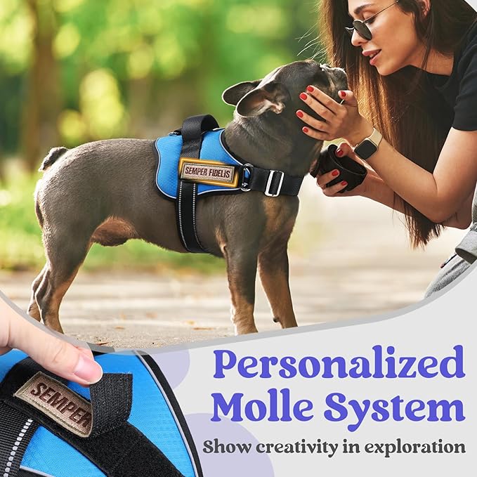 rabbitgoo Dog Harness for Large, Easy On Pet Vest with One Buckle, No Pull Adjustable Service Harness with D-Ring & Handle, Reflective for Safety Walking, Training, Blue, L