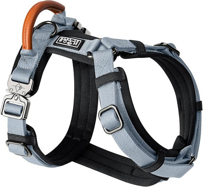 MADE TO ROAM Premium Explorer Harness - Y-Shaped Dog Harness with Adjustable Durable Nylon, Soft Padding, Metal Buckles and Leather Handle for Small, Medium, Large Dogs (Virginia Mountains, Size 1)