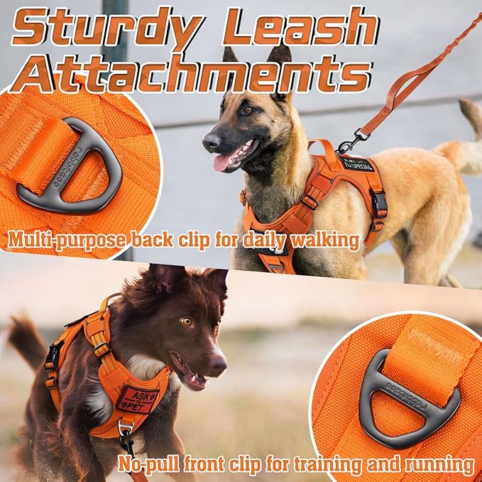 rabbitgoo Tactical Dog Harness Medium Sized Dog, No Pull Military Service Vest with Handle & Molle, Easy Control for Training Walking, Adjustable Reflective Straps, Orange, M