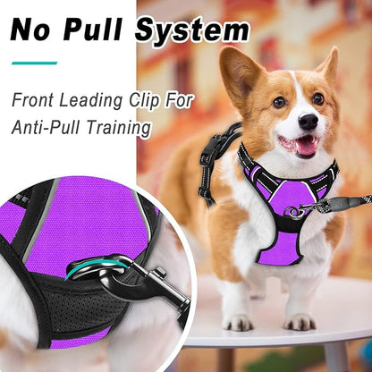 BARKBAY No Pull Dog Harness Large Step in Reflective Dog Harness with Front Clip and Easy Control Handle for Walking Training Running(Purple,XL)