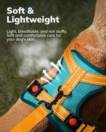 MIDOG No-Pull Dog Harness | Adjustable & Reflective Pet Harness Leash Set for Small Medium Large Dogs Walking, Training| No Choke, Front Clip, Soft Padded Vest with Easy Control Handle - Blue, S