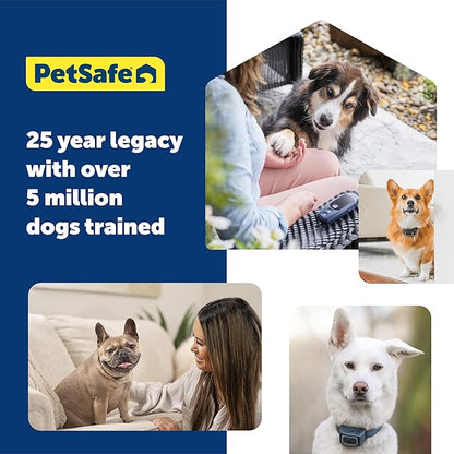 PetSafe Pro Remote Trainer Add-A-Dog Collar – Extra Collar for Dog Training Collar with Remote – Waterproof – 1000 Ft Range – Tone, Vibration and 19 Levels of Static – Sleek, Low-Profile Design