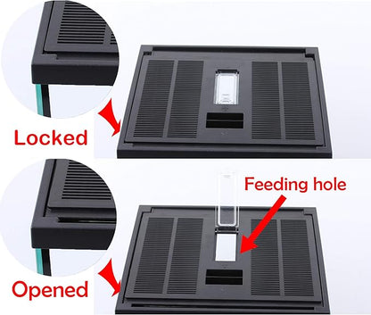 crapelles Black Small Vertical Insect GlassTerrarium, 7.8x7.8x10.8'' Reptile Tank, for Tarantula Larvae Caterpillar Frog Snail Spider Hermit Crab Habitat Container House Cricket Breeding Box