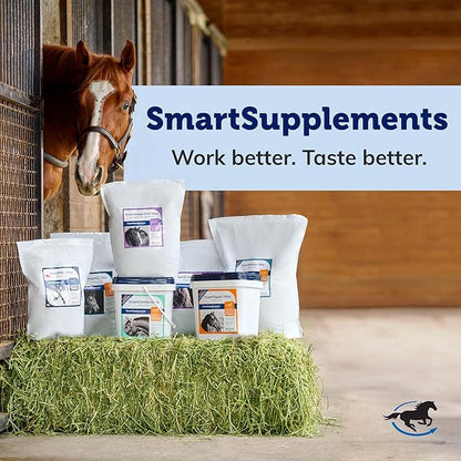 OutSmart® Fly Spray | Plant-Based Mosquito, Tick, and Fly Spray Repellent for Horses and Riders | Fresh Scent | 1 Gallon