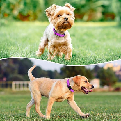 Reflective Dog Collar Padded with Soft Neoprene Breathable Quick Release Basic Dog Collars for Puppy Small Dogs Dark Magenta
