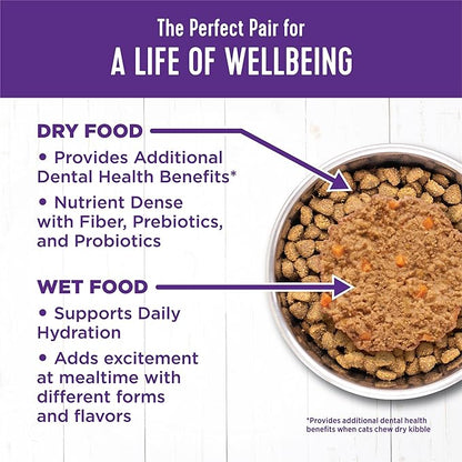 Wellness Complete Health Pate Kitten Wet Cat Food, Natural, Protein-Rich, Grain Free, 3 Ounce, 24 Pack, (Chicken)