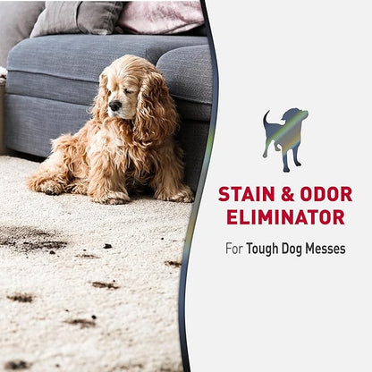 Nature’s Miracle Advanced Stain And Odor Eliminator for Dogs, Fresh Scent, Severe Mess Enzymatic Formula For Tough Pet Messes, 1 Gallon
