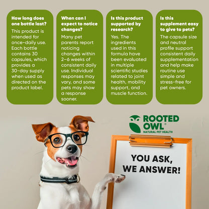 Joint & Muscle Health (Cats & Small Dogs)