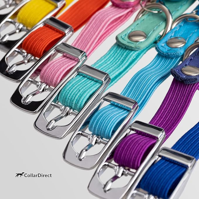 CollarDirect Leather Cat Collar, Kitten Collar with Removable Bell Black Blue Red Orange Lime Green (8-11 Inch, Lime Green)