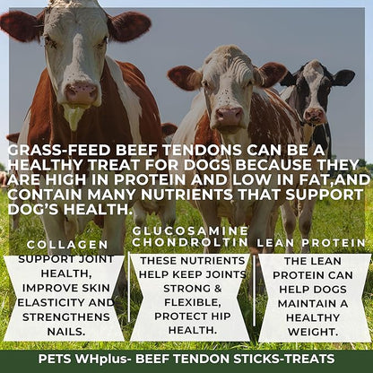 Beef Tendon Dog Treats, Single Ingredient, 100% Natural, Grass-Fed, Long-Lasting Rawhide-Free Chews, Collagen Protein, Dental & Joint Support, 4 oz, Safe & Grain-Free Snack