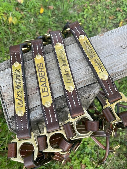 Leaders Leather Halter for Horses with Customized Engraved Name Plate Option Halter for Horse