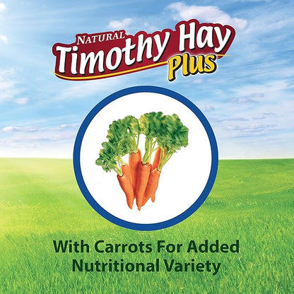 Kaytee Timothy Hay Plus Carrots for Pet Guinea Pigs, Rabbits & Other Small Animals, 24 oz (Pack of 2)