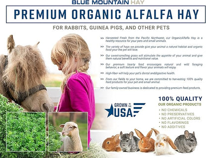 Blue Mountain Hay High-Altitude Hay - Organic Alfalfa, 25lb - High Protein, Fiber & Mineral-Rich - Soft, Leafy, High Leaf Retention - Ideal for Goats, Rabbits, Guinea Pigs & Other Small Animals