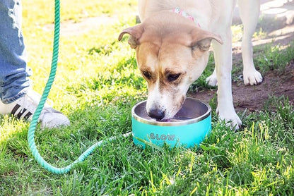 Dog Bowl, Dog Water Bowl Vacuum Insulated Stainless Steel, Non-Slip, Spill-Proof, Easy Clean, Keeps Water Cool, Cute, Stylish Pet Bowl, 64 oz, Light Blue, Modern