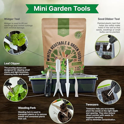 Organo Republic 25 Winter Vegetable & Green Seeds Variety Pack for Outdoors & Indoor Home Gardening 27670+ Non-GMO Heirloom Seeds: Broccoli Beet Carrot Collard Lettuce Radish Spinach Pea Kohlrabi