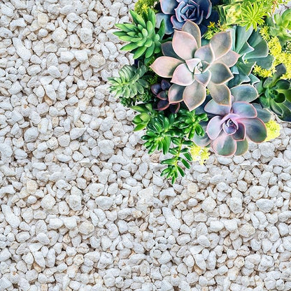 Perlite for Plants, Coarse and Chunky Horticultural Perlite, Organic Perlite for Gardening Indoor & Outdoor, Perlite Bulk Bag, Made in USA (1 Quart)