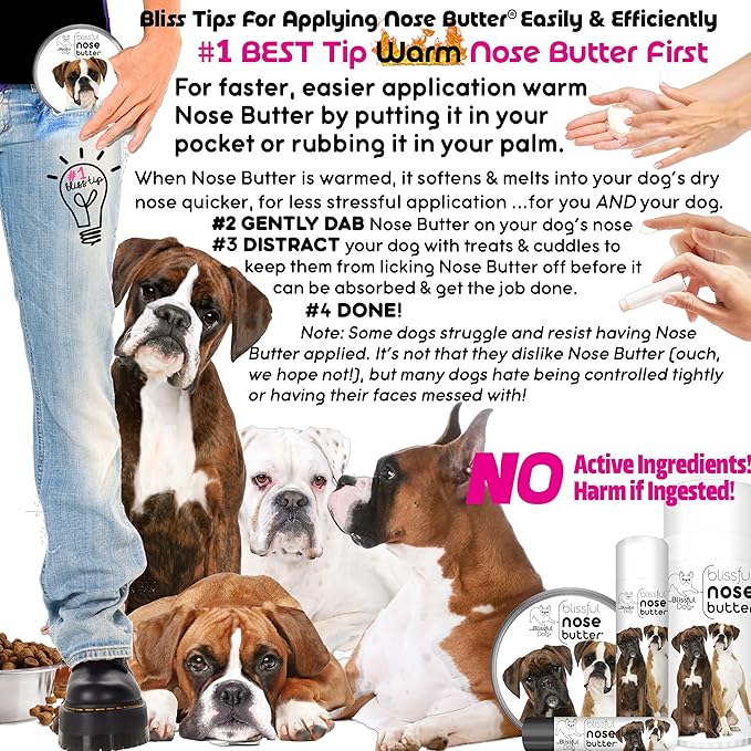 The Blissful Dog Show Boxer Unscented Nose Butter, 4-Ounce