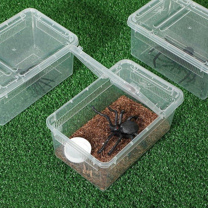 Irenare 8 Pcs Reptile Breeding Breeding Box Plastic Spider Terrarium Tarantula Feeding Box for Bearded Dragon Lizard Spider Gecko Scorpion (Vent Strips,5.9 x 3.9 x 2.5 Inch)
