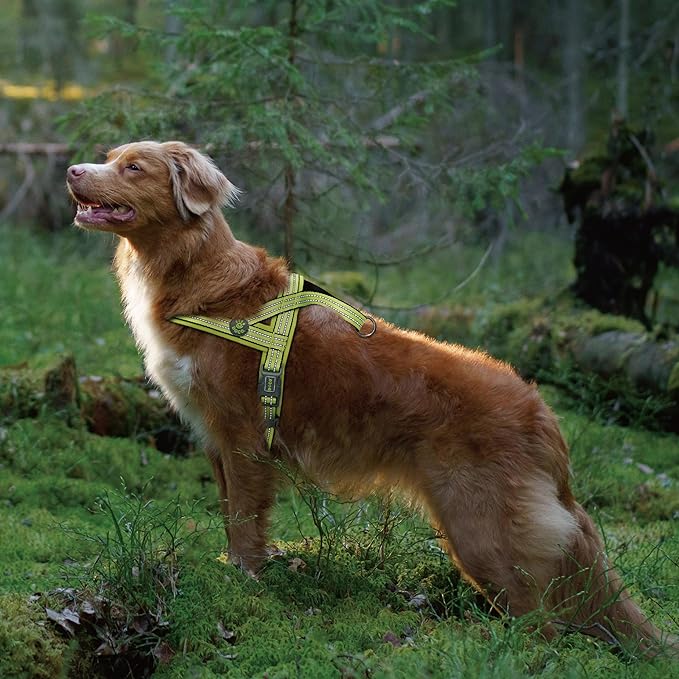 DOCO No-Pull Dog Harness Halter Reflective Easy-Control Harness for Training, Walking, and Preventing Pulling, Ideal for Medium Dogs(Red)