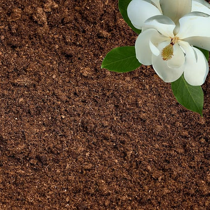 Peat Moss for Plants – Organic Sphagnum Peat Moss for Orchids, Terrariums, Seed Starting, Reptiles & Potting Soil Mix (3 quarts)