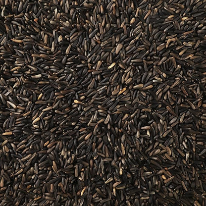 Nyjer/Thistle Seeds Wild Bird Food - 5 Pounds I No Grow Seed I Bird Seed for Wild Birds