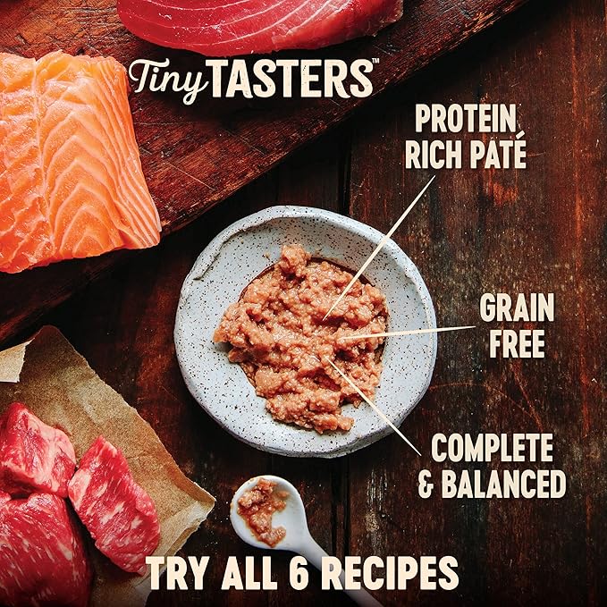 Wellness CORE Tiny Tasters Pate Adult Wet Cat Food, Natural, Protein-Rich, Grain Free, 1.75 Ounce Pouch, 12 Pack (Chicken)