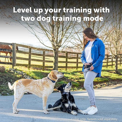 PetSafe Pro Remote Trainer Add-A-Dog Collar – Extra Collar for Dog Training Collar with Remote – Waterproof – 1000 Ft Range – Tone, Vibration and 19 Levels of Static – Sleek, Low-Profile Design