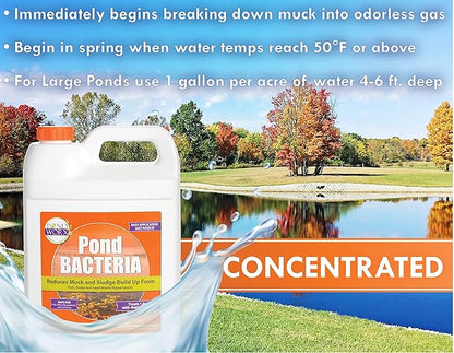 Pondworx Pond Bacteria - Formulated for Water Features and Safe for Koi (4 Gallon Value Pack)
