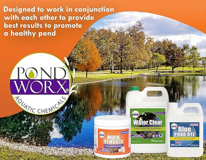 Pondworx Pond Bacteria - Formulated for Water Features and Safe for Koi (4 Gallon Value Pack)