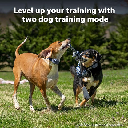 PetSafe Core Remote Trainer Add-A-Dog Collar – Extra Collar for Dog Training Collar with Remote – Waterproof – Tone, Vibration and 15 Levels of Static – Built-in LED Light