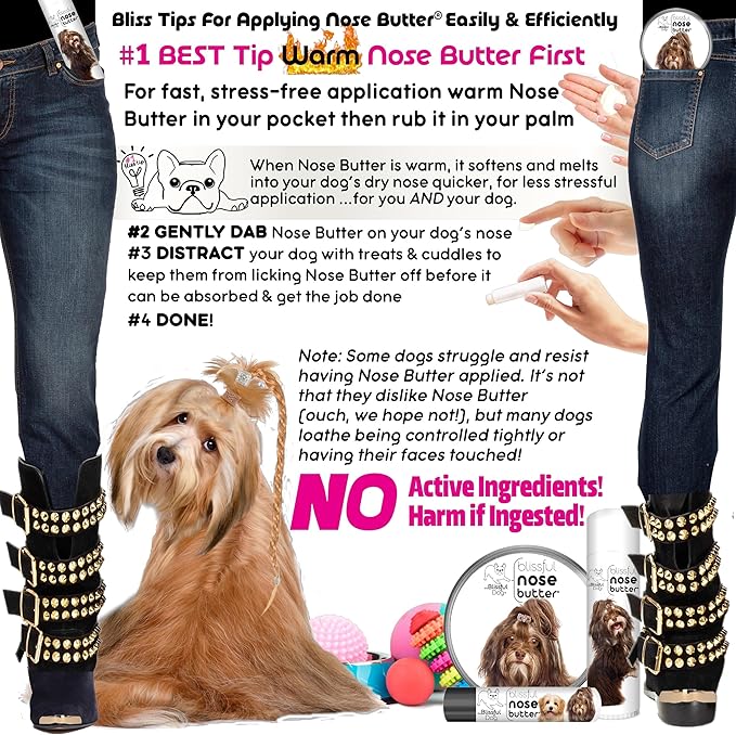 The Blissful Dog Havanese Unscented Nose Butter - Dog Nose Butter, 4 Ounce