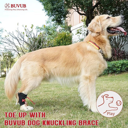 Dog Canine Knuckling Brace Rear Leg Dog Foot Brace Wrap for Toe Dragging Cause by Sciatic Nerve Insufficiency, Myelopathy, Herniated Disc (Medium)