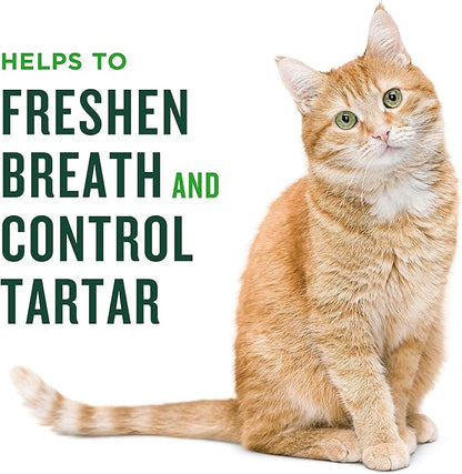 Minties Dental Treats for Cats, Chicken Flavored Treats for Cats, Freshens Breath and Controls Tartar, 10oz