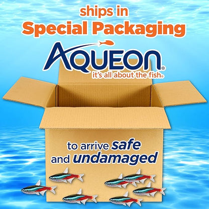 Aqueon LED MiniBow Aquarium Kit with SmartClean Technology, White, 2.5 Gallon