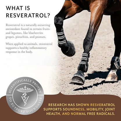 Equithrive Original Joint Supplement Powder with Resveratrol and Hyaluronic Acid for Horses, Equine Care, 2 lbs