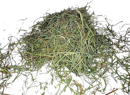 High Desert 2nd Cutting Timothy Grass Hay for Guinea Pigs, Rabbits, and More Small Animal Pets (16 lb)
