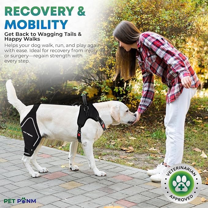Petpanm- Adjustable Dog Knee Brace- Right Hind Leg with Integreted Harness- Premium Support for Torn ACL, Sprains & Strains Recovery, Enhances Mobility, Comfortable Neoprene- (Small)