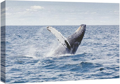 wall26 Canvas Print Wall Art Tropical Ocean Sea Water Horizon Blue Whale Nature Animals Photography Realism Rustic Scenic Landscape Wilderness Colorful for Living Room, Bedroom, Office - 24"x36"