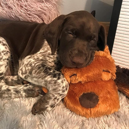 Original Snuggle Puppy Toys - Heartbeat Puppy for Dogs - Pet Anxiety Relief and Calming Aid - Comfort Dog Toys for Behavioral Training