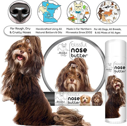 The Blissful Dog Havanese Unscented Nose Butter - Dog Nose Butter, 16 Ounce