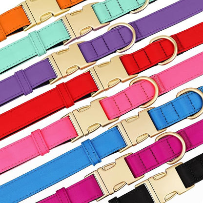 Didog Soft Padded Dog Collars for Medium Dogs, Colorful and Durable Dog Collar with Quick Release Buckle, Light and Breathable for Daily Walking, Blue, M