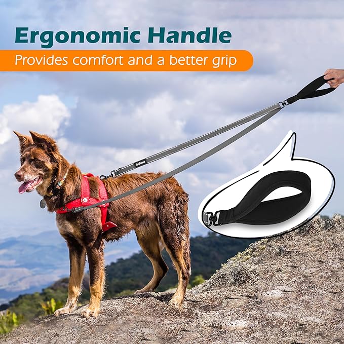 PetBonus Two Point Control Dog Leash, Works with No Pull Harnesses, No Tangle Dog Training Leashes, No Pull Padded and Reflective Walking Lead, Converts to Single Leash for Medium Large Dogs (Grey)