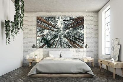 Nature Wall Art Prints - Ocean Forest Mountain Lake Canvas Landscapes - Small to Extra Large Living Room Bedroom Kitchen Bathroom Décor (Trees and Sky, 24L" x 36W")