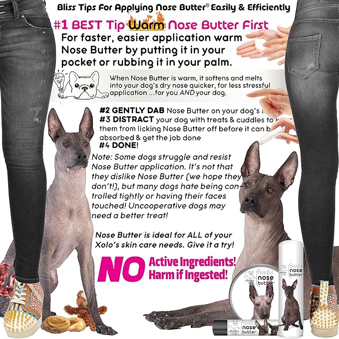 The Blissful Dog Xoloitzcuintli Nose Butter for Dry, Cracked Skin, Lick-Safe Dog Nose Balm with Moisturizing Shea Butter, Almond, Olive, and Essential Oils, Pet Supplies, Uncented, 8 oz.