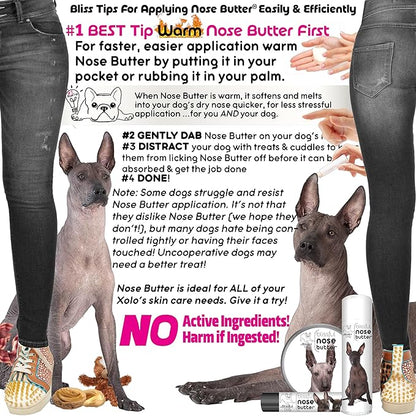 The Blissful Dog Xoloitzcuintli Unscented Nose Butter, 16oz
